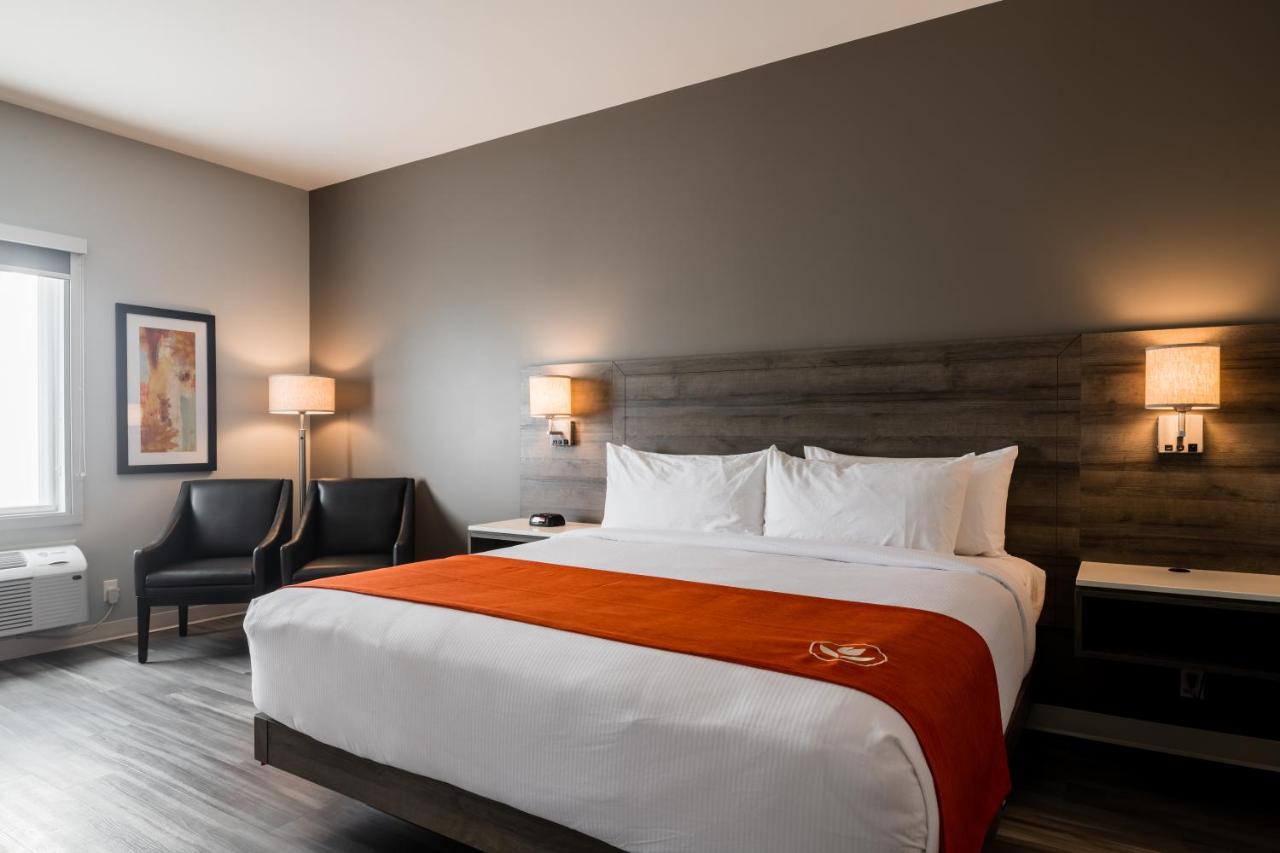 Amsterdam Inn & Suites, Ascend Hotel Collection Florenceville Exterior foto